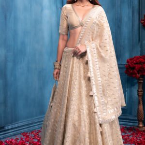 Emerald Velvet Dori Embroidered Lehenga Set